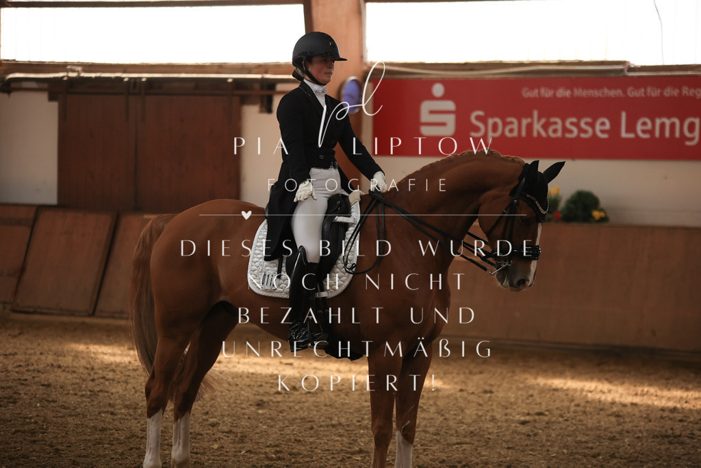 IMGT4636 | pl-fotografie