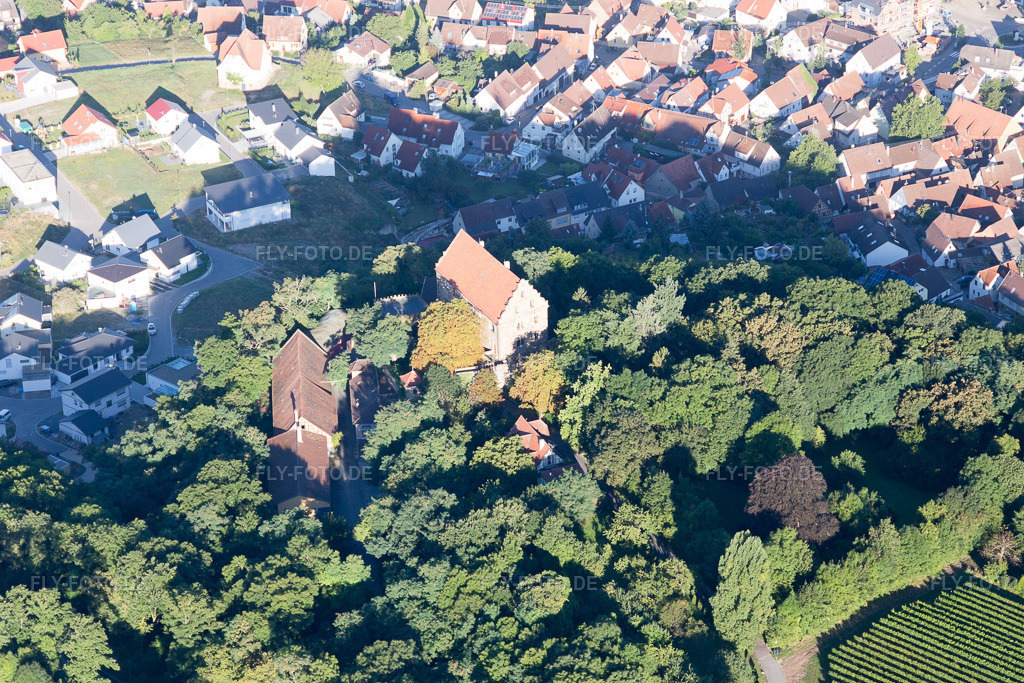 Luftbild: Michaelskirche im Ortsteil Treffentrill in Cleebronn im Bundesland Baden-Württemberg in Deutschland. Foto: IMG_093845.jpg vom 23.08.2016 durch Werner Riehm/FLY-FOTO.de