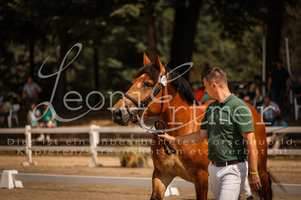 1.Sa00005 | Leoni Ertmer Photography - Realisiert mit Pictrs.com