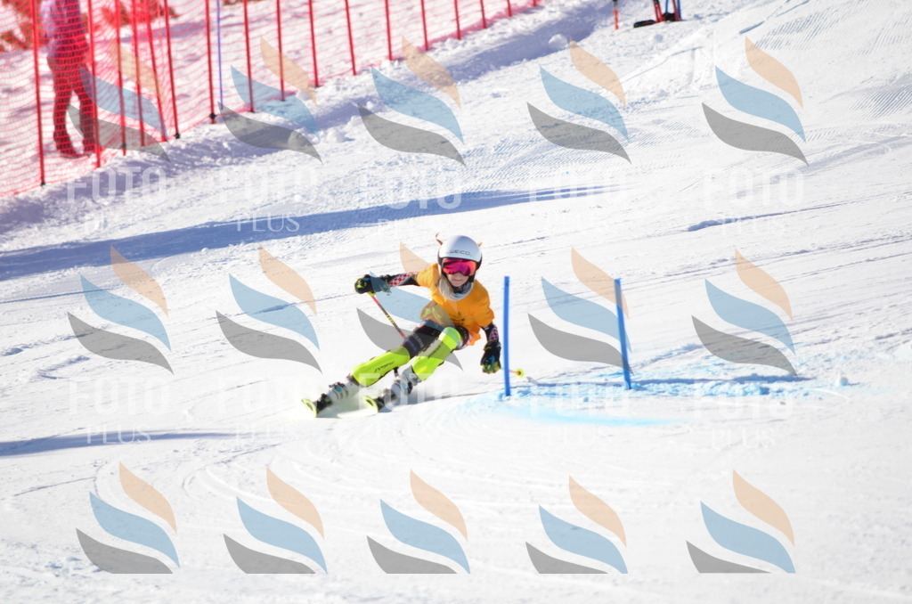 C6031 | holidayphoto