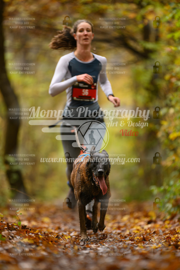 MompixPhotography_CD7S_DI_CCL-15 | mompixphotography