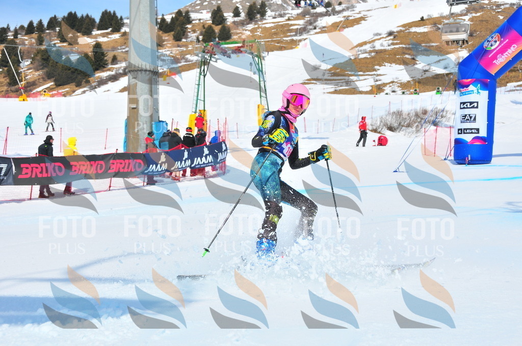 DSC_5255 | holidayphoto