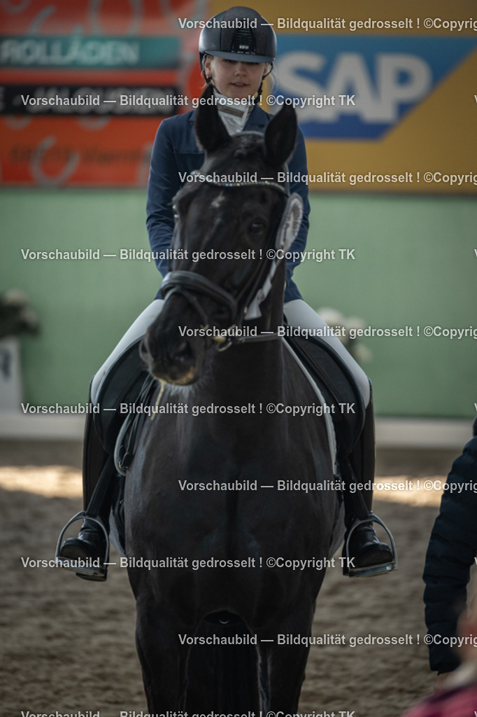 _D5A8604 | Emotionale Pferde- & People-Fotografie rund um Heidelberg, Leimen & Umgebung. Natürliche Fotos von Pferd, Mensch & Familie. Jetzt Termin sichern!