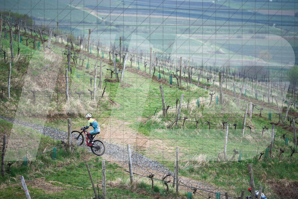 34. KTM Kamptal Trophy  | ZÖBING, Österreich – 2026-03-29: 34. KTM Kamptal TrophyFoto: © 2026 Martin Bihounek - MB Creative e.U.