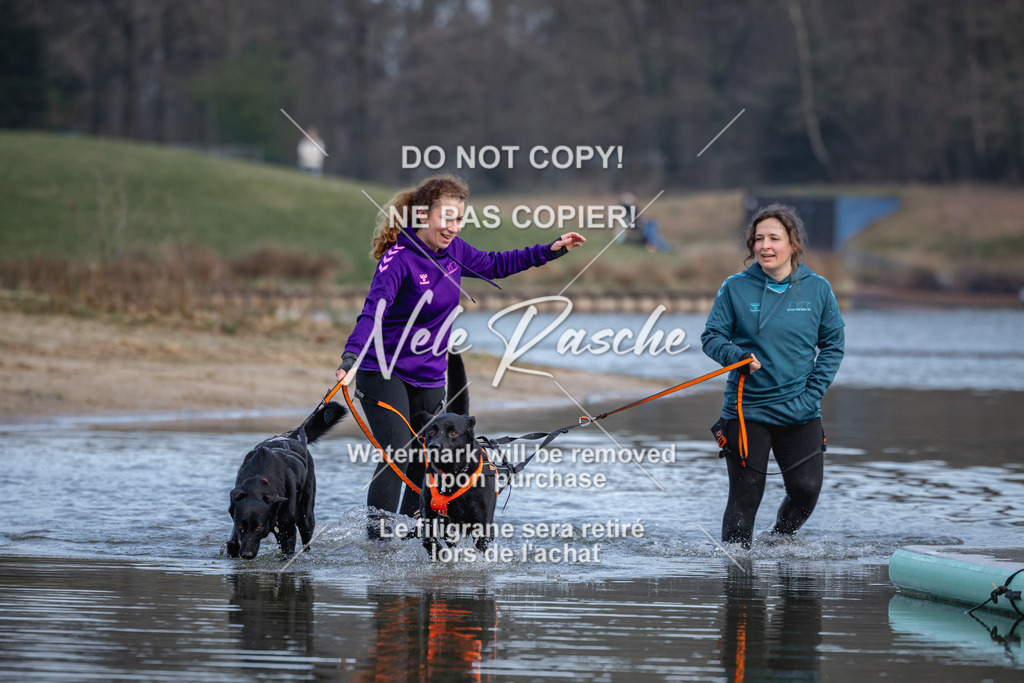 nelerasche_Hulsbeek_Sa1600-1700_622 | nelerasche