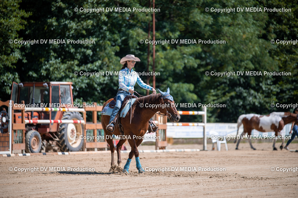 ZS1_1002 | dv-media-shop - Realisiert mit Pictrs.com