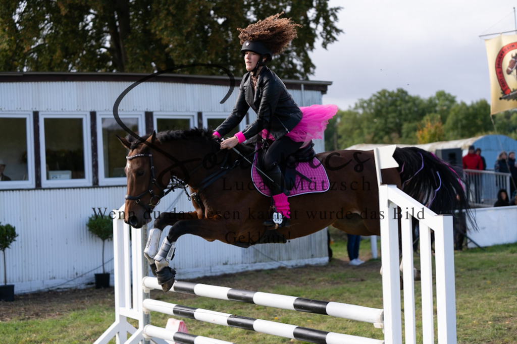 A7V06532 | Pferdefotograf