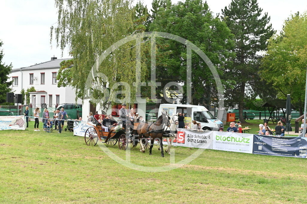 DSC_3567 | sattelsport - Realisiert mit Pictrs.com