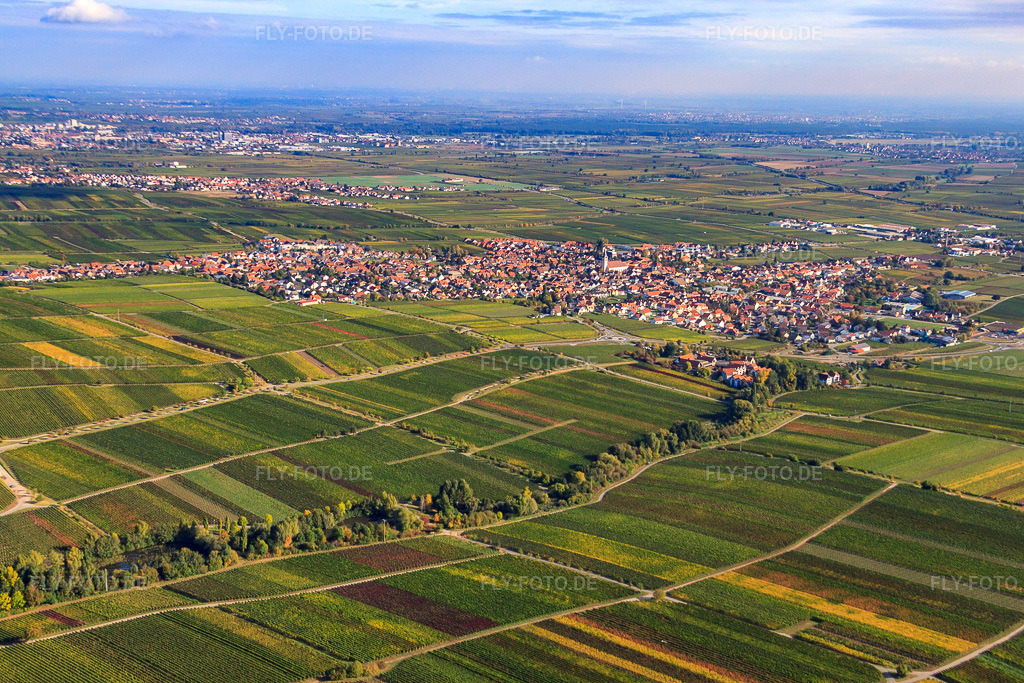 Luftbild: Stadtansicht von Nordwesten in Maikammer im Bundesland Rheinland-Pfalz in Deutschland. Foto: IMG_22151.jpg vom 15.10.2009 durch Werner Riehm/FLY-FOTO.de