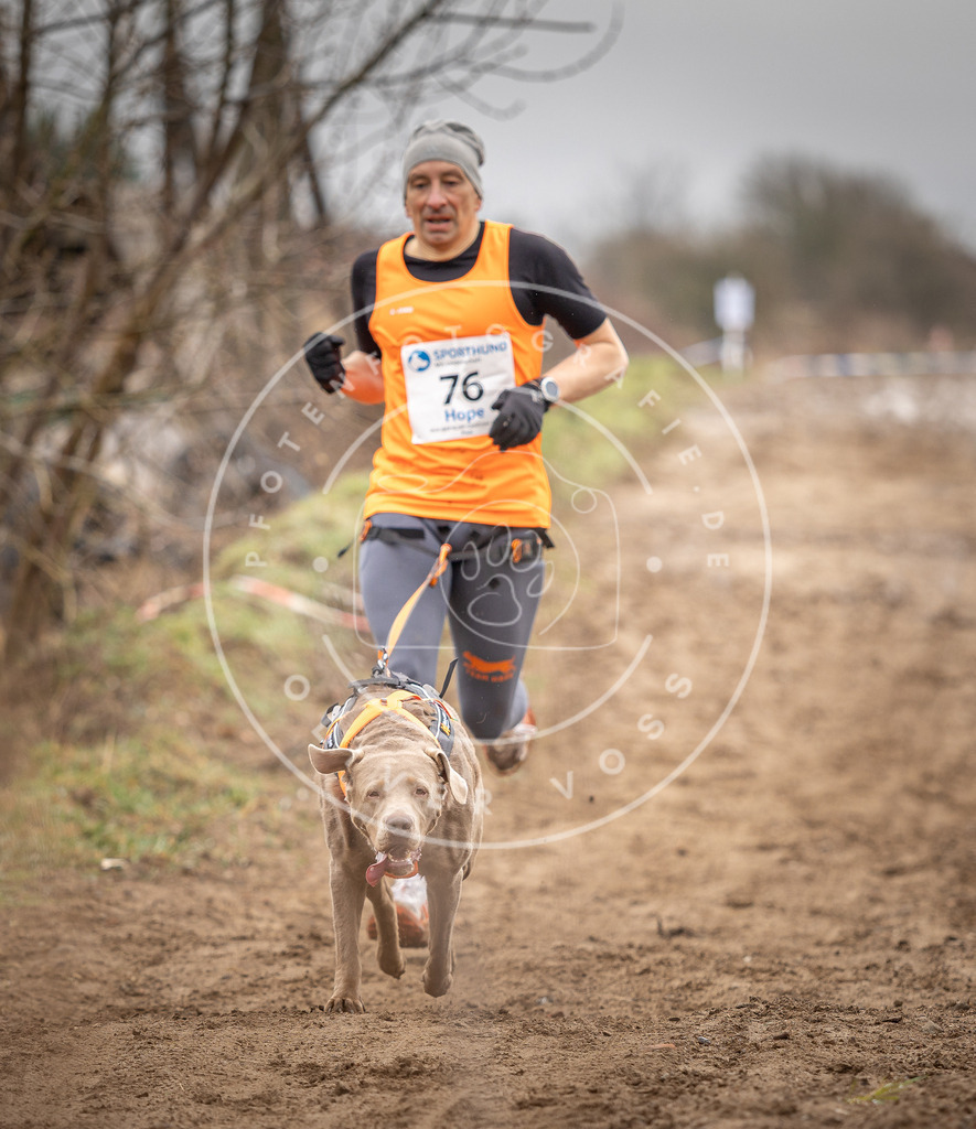 DV3A9764 | Hundefotografie, Tierfotograf, Pfotenfotografie, Fotoshooting Hund, Hunde Portrait, Hundesport, Hundeportraits, Heideshooting, Hunde, Sportfotograf, Hundefotograf, Turnierhundsport, THS,  - Realisiert mit Pictrs.com