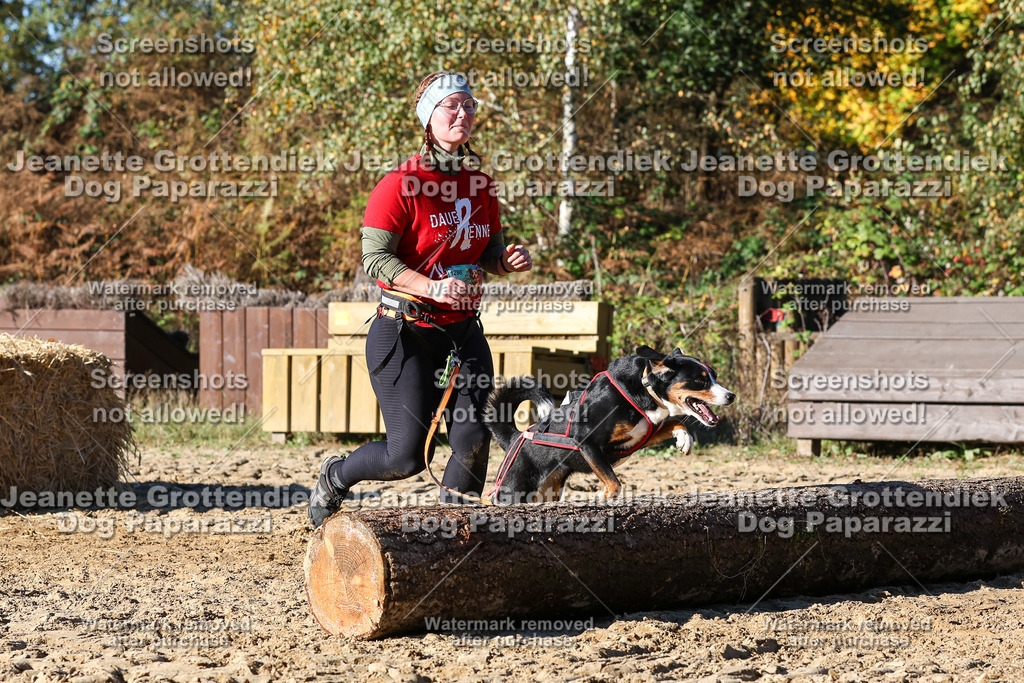 Dog Paparazzi - Strongdog 10-25-2220 | Dog Paparazzi Jeanette Grottendiek Fotografie & Videografie - Realisiert mit Pictrs.com
