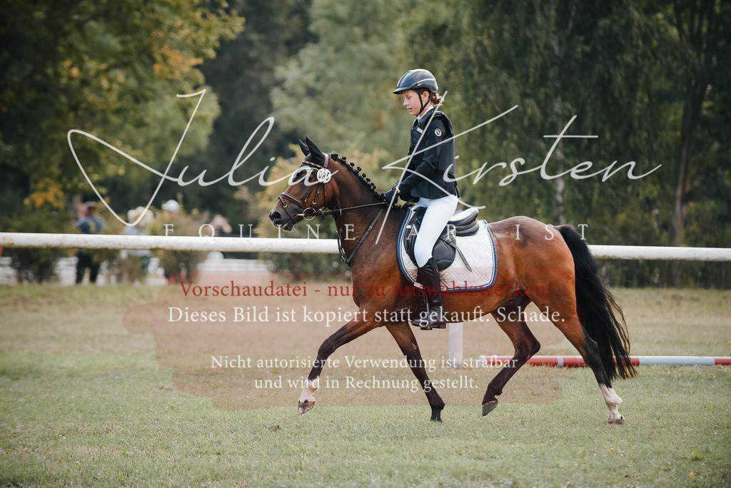 DSC_5431 | Pferde- und Turnierfotografie in Westsachsen. Pferdeportraits, Auftragszeichnungen und intuitive Kunst.