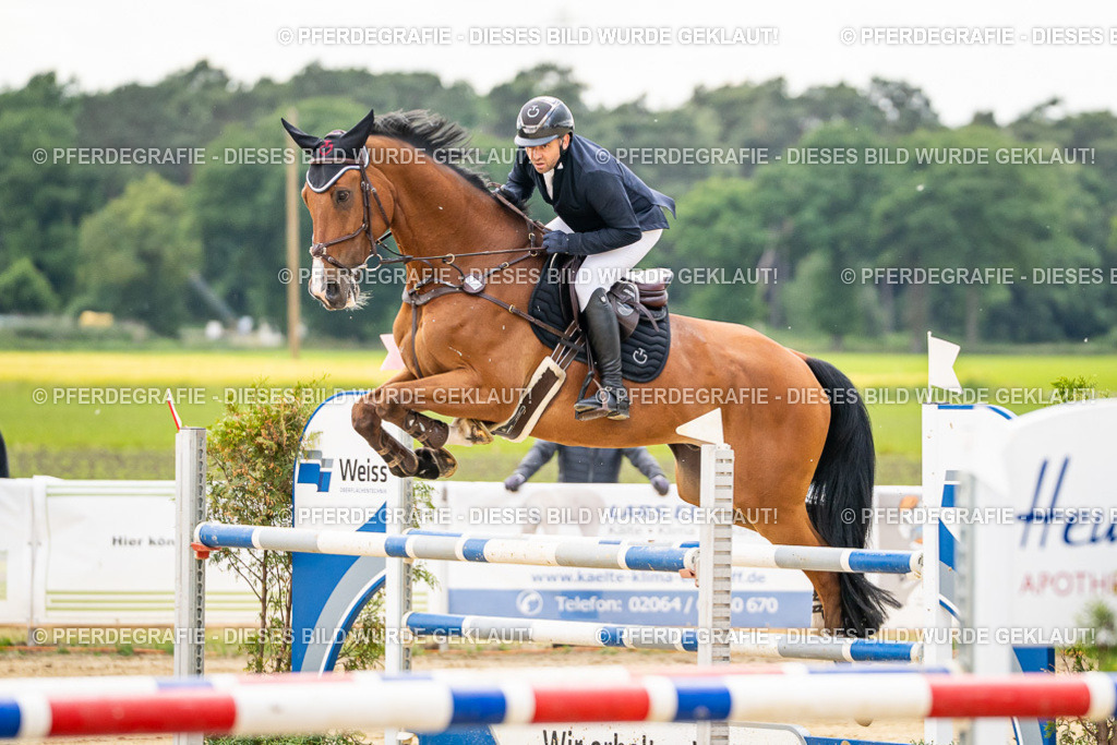 DSC06036 | Pferdegrafie