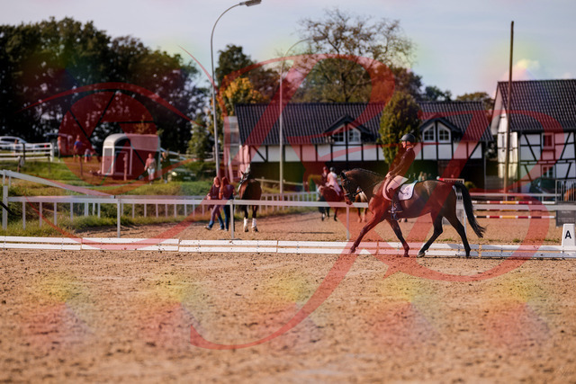 2026_10_03_Siefer-Hof_130850_Z81_61958336 | Professionelle Reitsport-, Turnier- und Eventfotografie von Robert Broda. Galerien mit ausgewählten und bearbeiteten Bildern direkt online ansehen und bestellen.