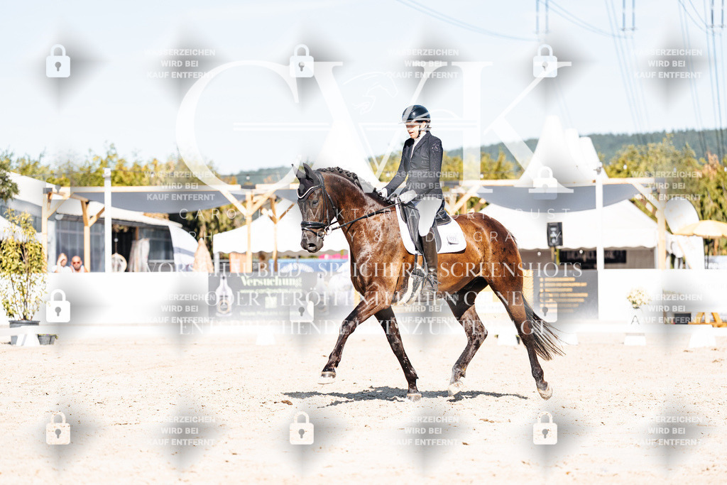 CK908539 | Turnierfotografie Pferdefotografie Trier Rheinland-Pfalz Pferdesport Reitsport Tierfotografie Sportfotografie Pferdevideo Pferdevideografie Equestrianvideography equestrianphotography  - Realisiert mit Pictrs.com