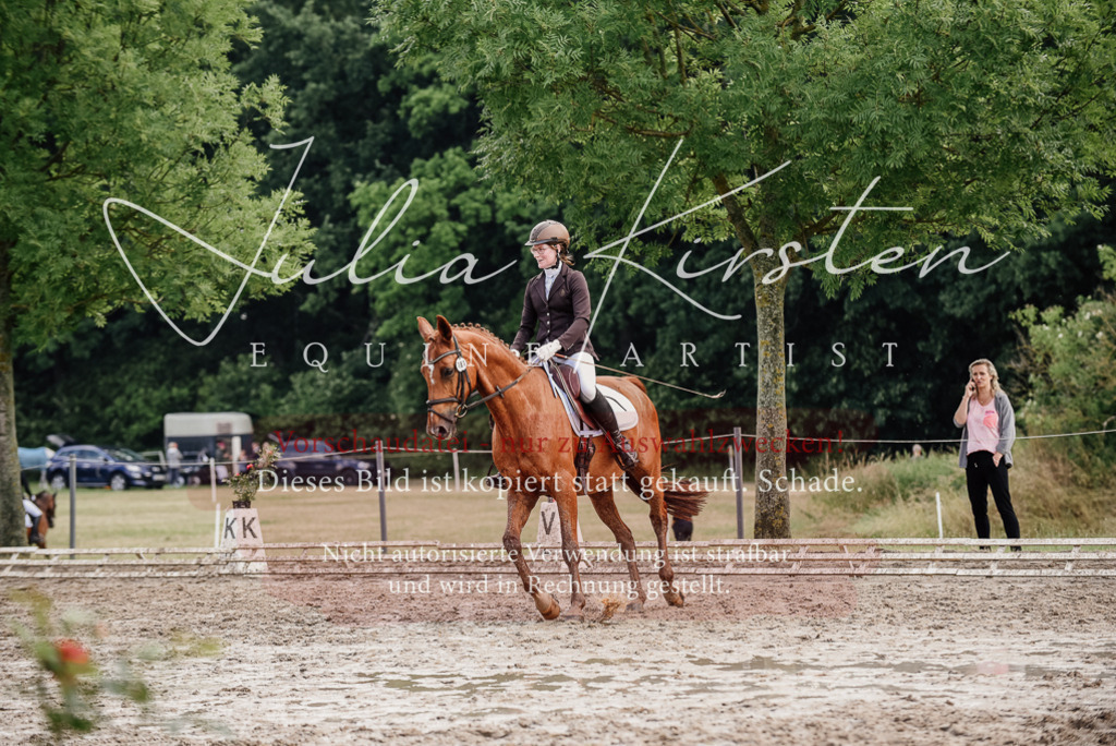 DSC_9701 | Pferde- und Turnierfotografie in Westsachsen. Pferdeportraits, Auftragszeichnungen und intuitive Kunst.