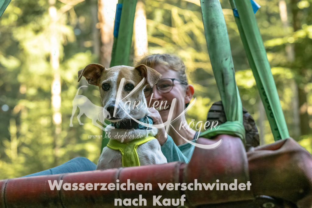 0955_ZZ92324-Bearbeitet | kk-dogfotos