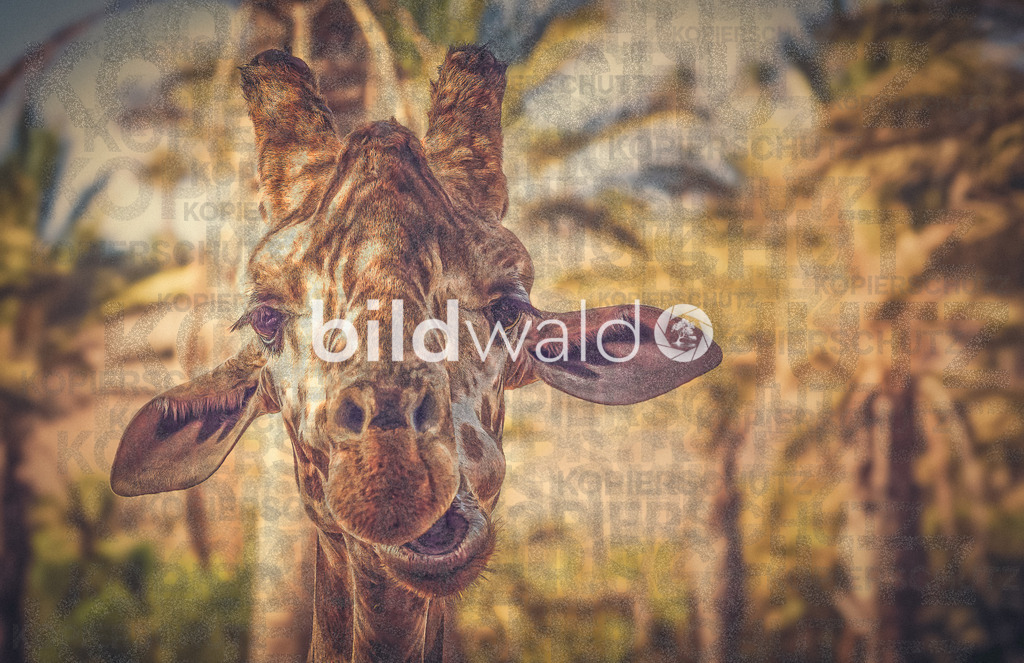 _DSC4051-Bearbeitet-Bearbeitet | @oasisparkfuerteventura it´s allways nice to be here! - Realisiert mit Pictrs.com