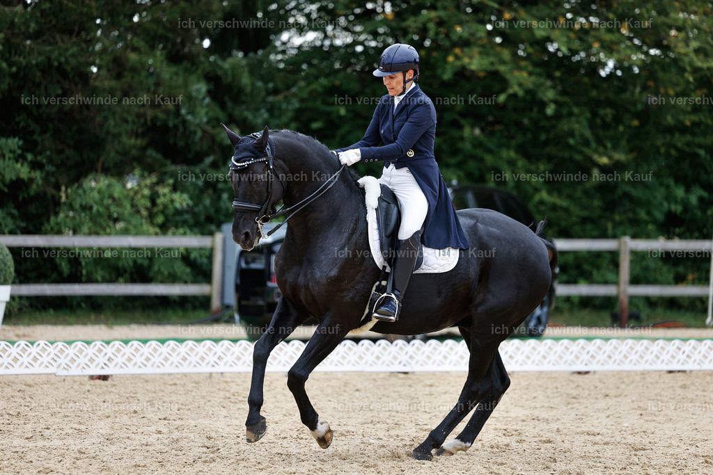 11-194-Dressur S___-StoibPH-1460 | working equitationturnier fotograf videograf stoibphotography marixx film working equitation deutschland reitsport turnierfotografie eventfotografie equestrian events