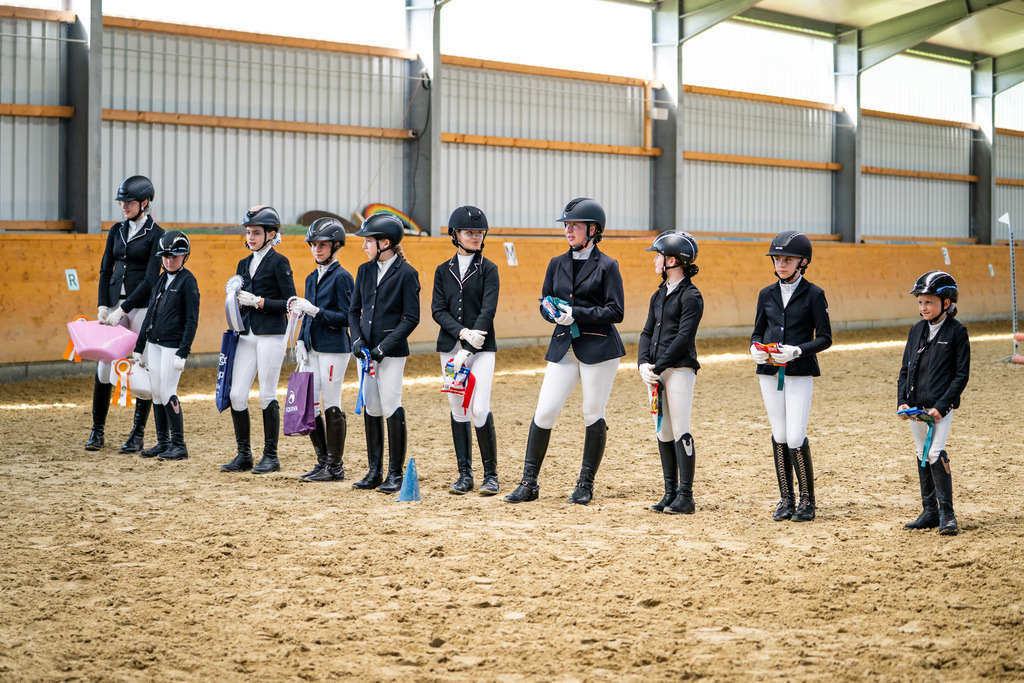 DSC02402 | Pferdegrafie