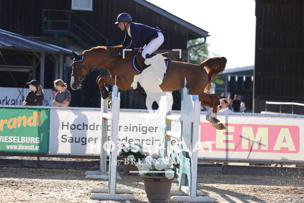 0P6A6356 | Willkommen bei Brunnmayr - Design & Fotografie – Ihrem Spezialisten für Reitturniere und Pferdeveranstaltungen in Oberösterreich, Salzburg und Bayern! Seit über 17 Jahren sind wir leidenschaftlich dabei.