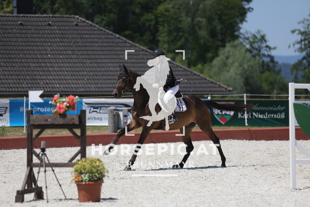 0P6A9237 | Willkommen bei Brunnmayr - Design & Fotografie – Ihrem Spezialisten für Reitturniere und Pferdeveranstaltungen in Oberösterreich, Salzburg und Bayern! Seit über 17 Jahren sind wir leidenschaftlich dabei.