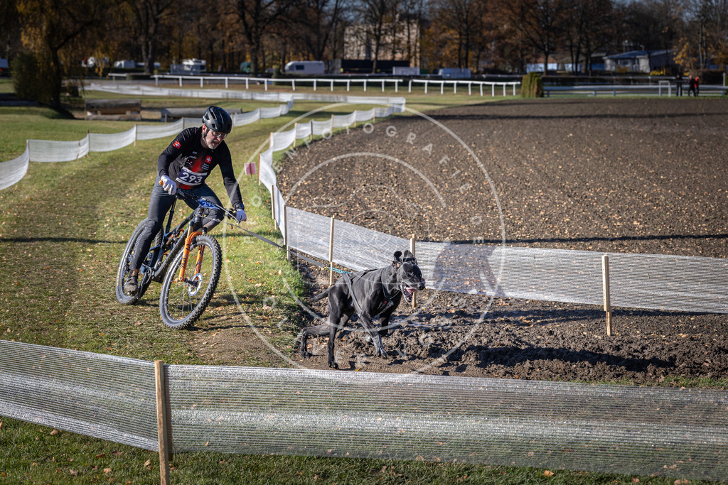 CaniXpix_DV3A5876 | Hundefotografie, Tierfotograf, Pfotenfotografie, Fotoshooting Hund, Hunde Portrait, Hundesport, Hundeportraits, Heideshooting, Hunde, Sportfotograf, Hundefotograf, Turnierhundsport, THS,  - Realisiert mit Pictrs.com
