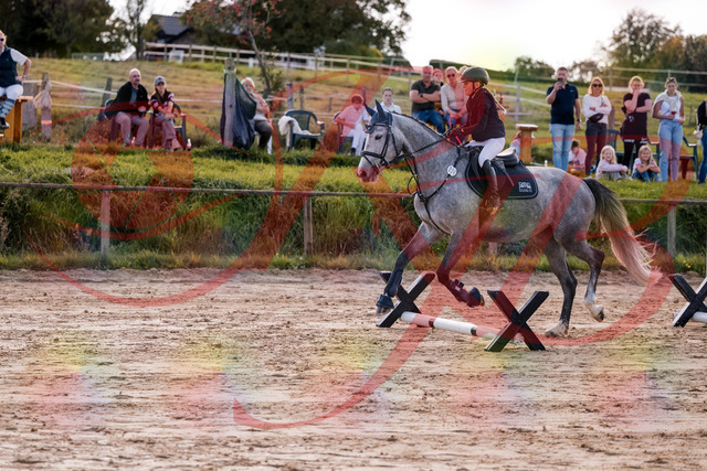 2026_10_03_Siefer-Hof_145110_Z81_29645041 | Professionelle Reitsport-, Turnier- und Eventfotografie von Robert Broda. Galerien mit ausgewählten und bearbeiteten Bildern direkt online ansehen und bestellen.