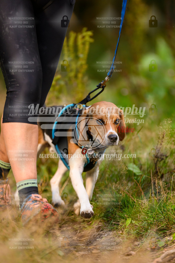 MompixPhotography_Yens2025_B4-83 | PayLife