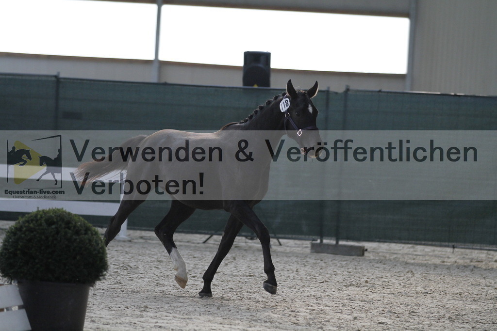 _MG_9359 | equestrian-live-com