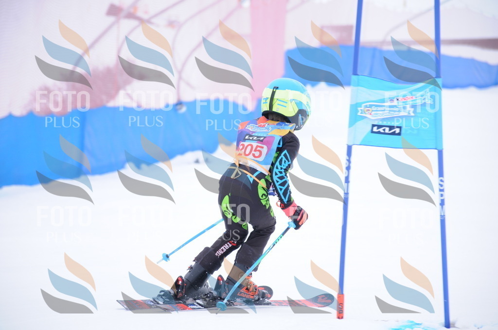 DSC_9264 | holidayphoto