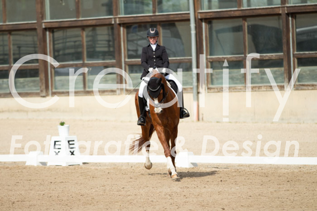 IMG_1314 | Creatify Fotografie