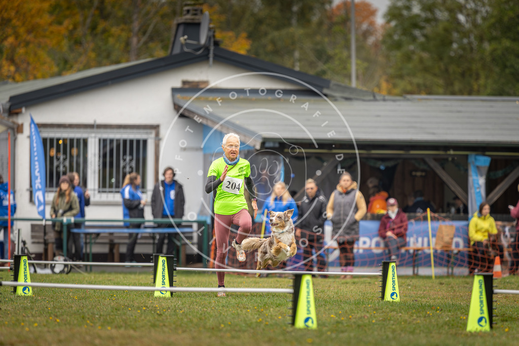 Pfotenfotografie_DV3A1674 | Hundefotografie, Tierfotograf, Pfotenfotografie, Fotoshooting Hund, Hunde Portrait, Hundesport, Hundeportraits, Heideshooting, Hunde, Sportfotograf, Hundefotograf, Turnierhundsport, THS,  - Realisiert mit Pictrs.com