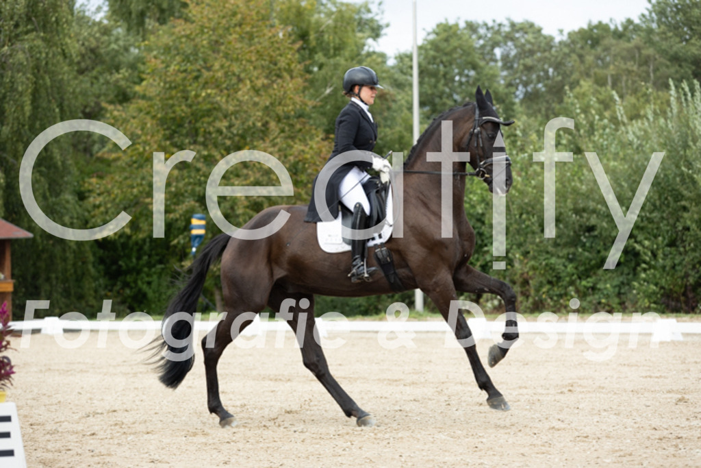 IMG_6874 | Creatify Fotografie