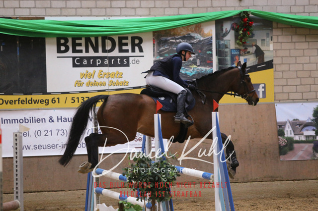 IMG_0658 | Turnierfotos kaufen im Webshop von Daniel Kuhl Photography – entdecke professionelle Reitsportfotos aus Turnieren & Events. Hochwertige Turnierbilder online bestellen & sichern. Jetzt Fotos von Reitsportturnieren kaufen!