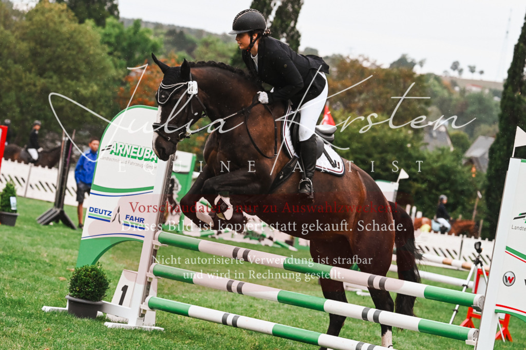 DSC_6310 | Pferde- und Turnierfotografie in Westsachsen. Pferdeportraits, Auftragszeichnungen und intuitive Kunst.