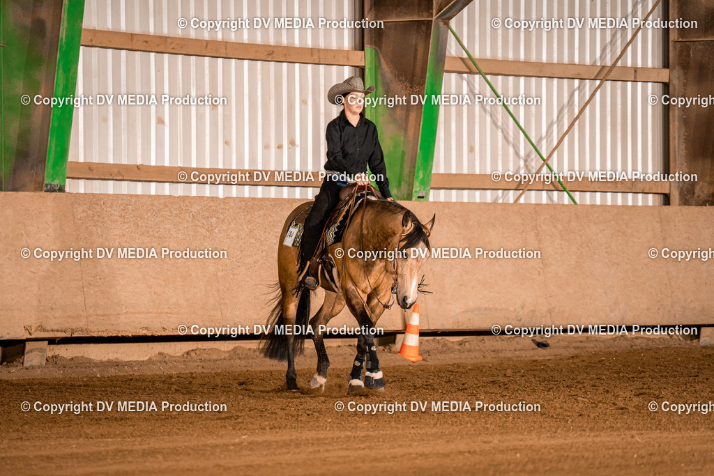 BA301301 | dv-media-shop - Realisiert mit Pictrs.com