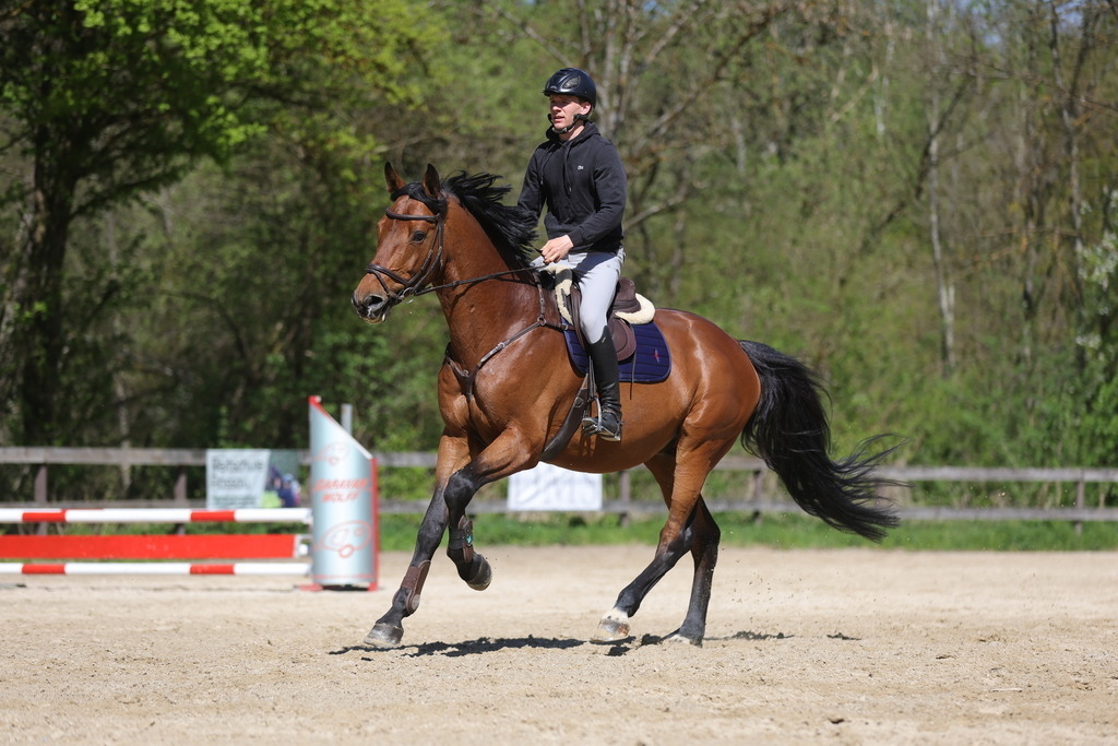 0P6A8153 | Willkommen bei Brunnmayr - Design & Fotografie – Ihrem Spezialisten für Reitturniere und Pferdeveranstaltungen in Oberösterreich, Salzburg und Bayern! Seit über 17 Jahren sind wir leidenschaftlich dabei.