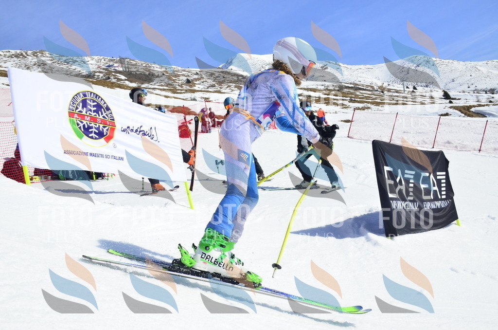 _ELE0506 | holidayphoto