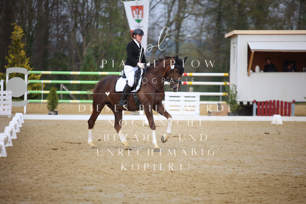 IMGT7800 | pl-fotografie