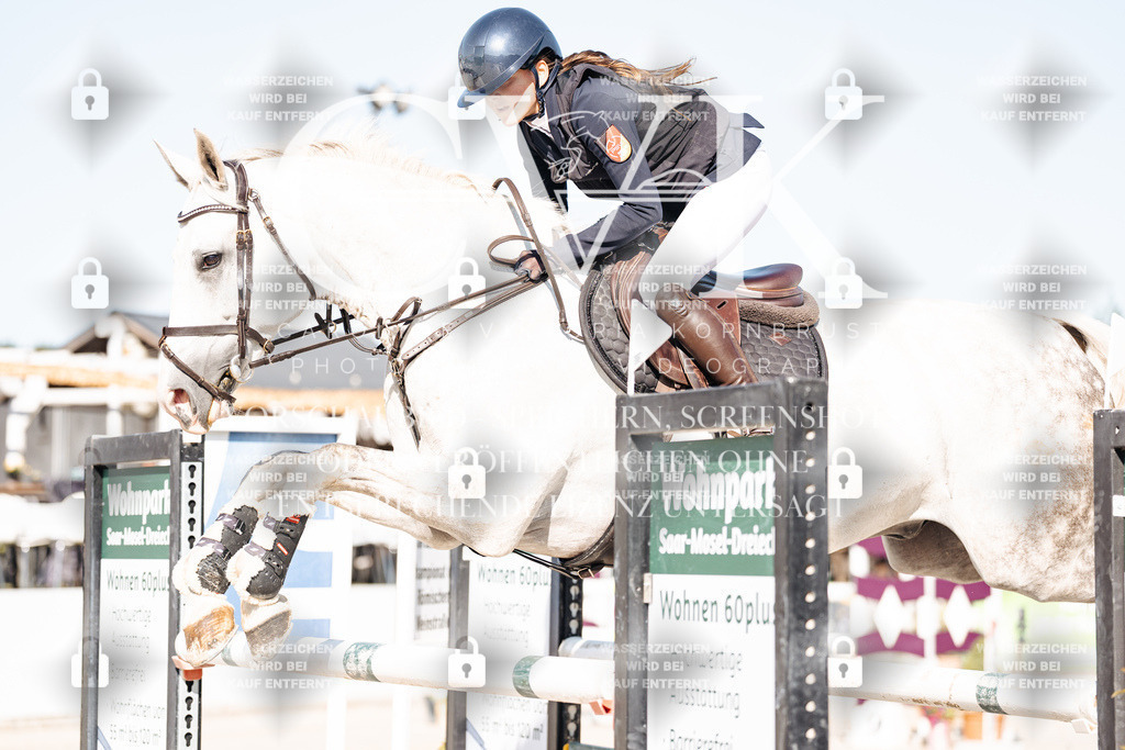 CK904776 | Turnierfotografie Pferdefotografie Trier Rheinland-Pfalz Pferdesport Reitsport Tierfotografie Sportfotografie Pferdevideo Pferdevideografie Equestrianvideography equestrianphotography  - Realisiert mit Pictrs.com
