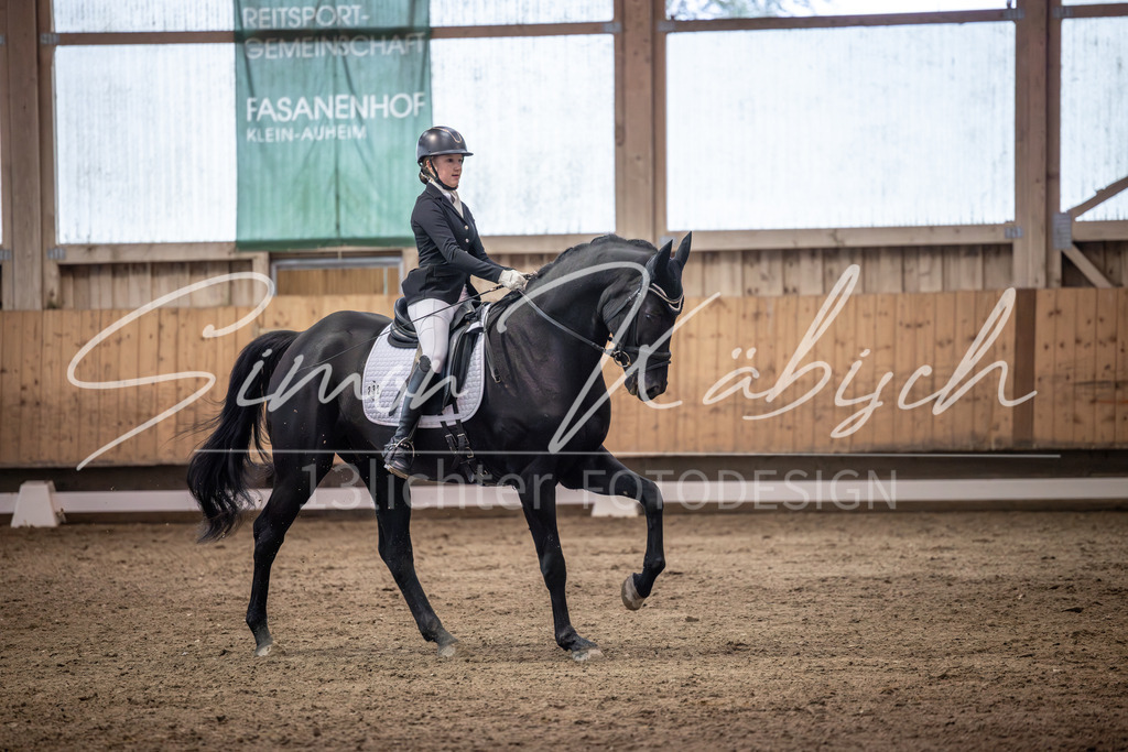 20251011-_3LI2116 | Tierfotografie Pferde, Hunde, Katzen, Haustiere.
Turnierfotografie Reitturniere, Reiten, Springreiten, Dressur in Hanau, dem Main-Kinzig-Kreis und dem Rhein-Main- Gebiet um Frankfurt