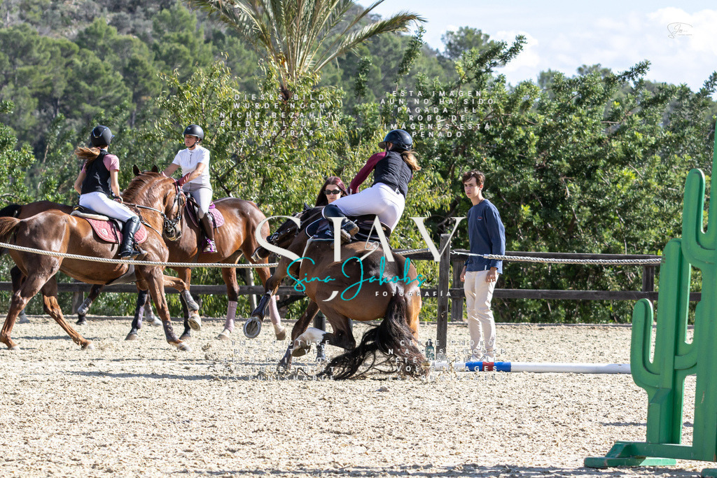 IMG_0356 | s-jay-photography - Realisiert mit Pictrs.com