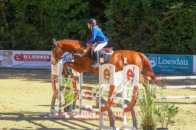 DKP42980 | Turniersportfotografie; Pferdefotografie; Dressurfotografie