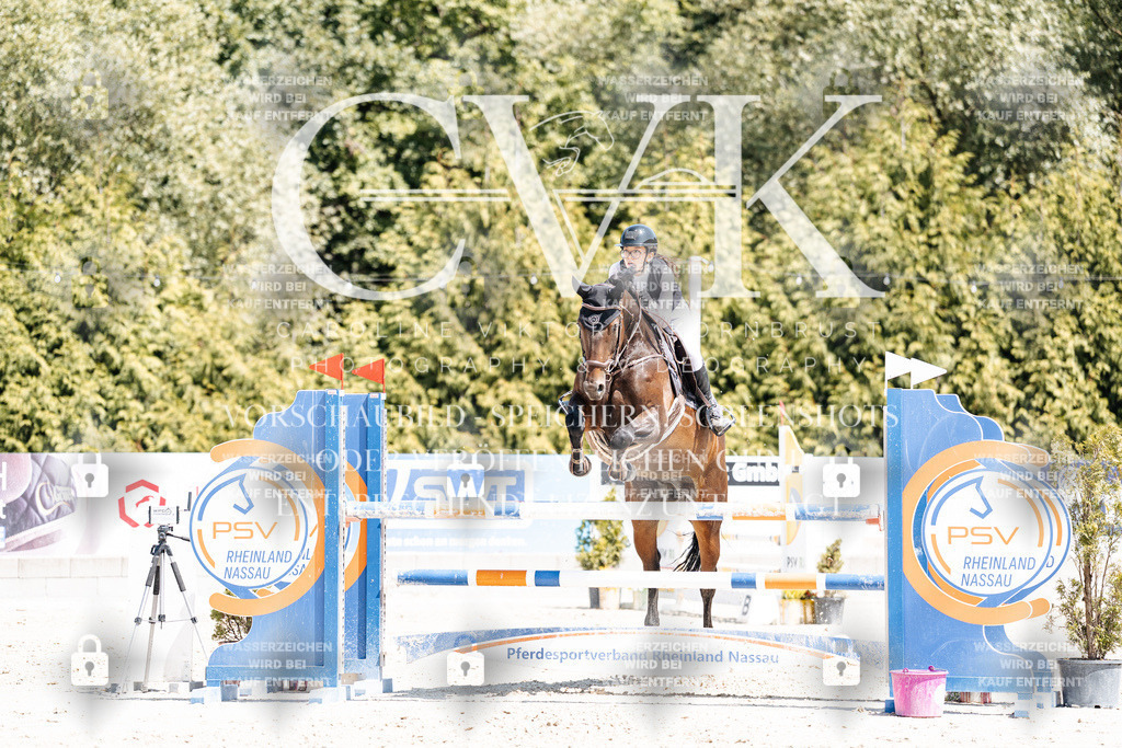 CK900418 | Turnierfotografie Pferdefotografie Trier Rheinland-Pfalz Pferdesport Reitsport Tierfotografie Sportfotografie Pferdevideo Pferdevideografie Equestrianvideography equestrianphotography  - Realisiert mit Pictrs.com