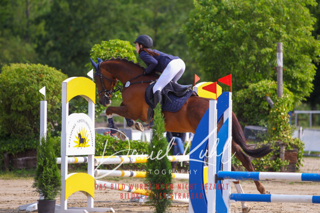 DKP41275 | Turniersportfotografie; Pferdefotografie; Dressurfotografie