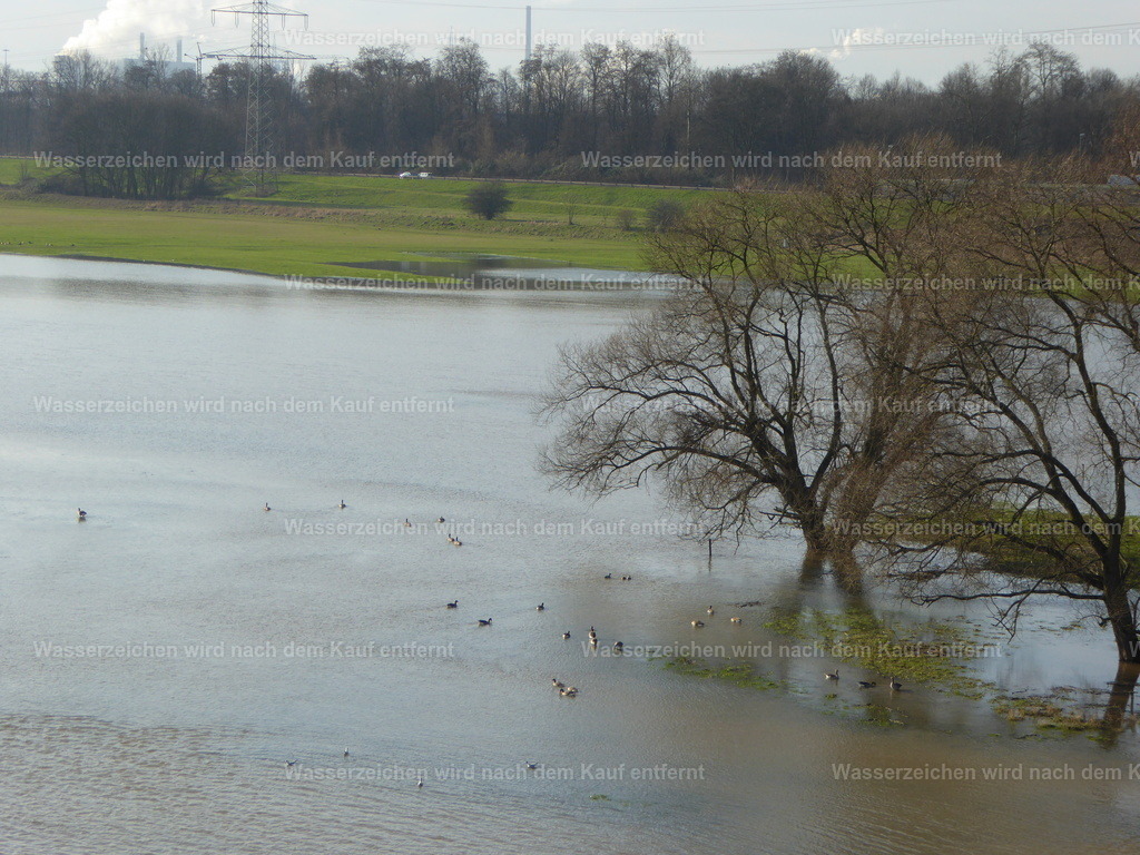 P1000767 | Entdecken Sie die faszinierende Welt von Norbert Michels: Surreale Kunstwerke, hochwertige Fotos, Leinwandbilder & Fotoprodukte wie Tassen mit bild7 - Realisiert mit Pictrs.com