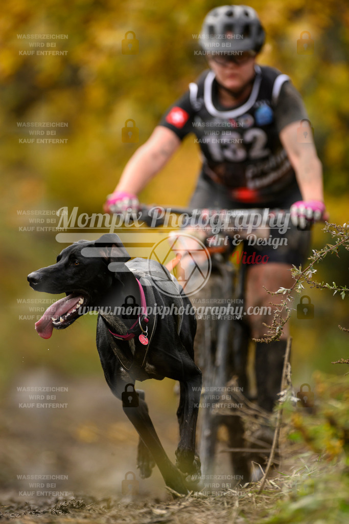 MompixPhotography_ICF_WC_2024_SA_Bike_-153 | PayLife