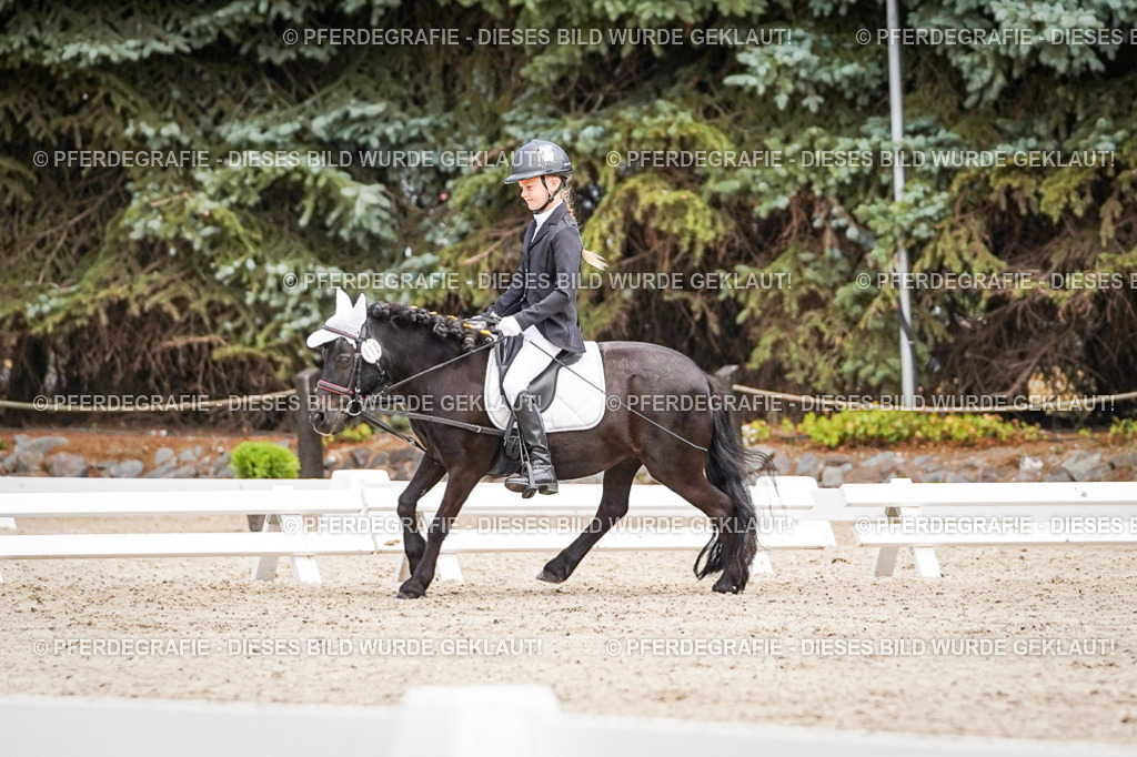 DSC02797 | Pferdegrafie