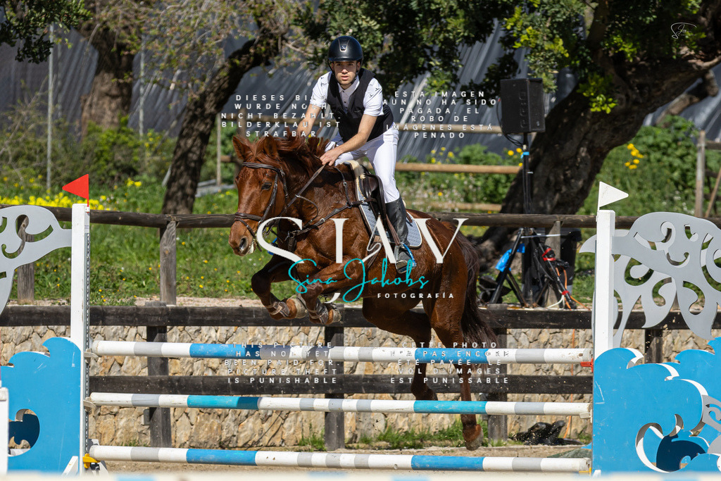 IMG_6476 | s-jay-photography - Realisiert mit Pictrs.com